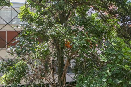 Casa de condomínio à venda com 250m², 3 quartos e 2 vagasVista do Quarto 