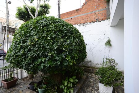 Casa para alugar com 350m², 5 quartos e 2 vagasQuintal