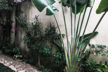 Casa à venda com 600m², 4 quartos e 6 vagasVista