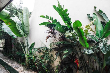 Casa à venda com 600m², 4 quartos e 6 vagasVista