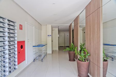 Apartamento para alugar com 45m², 2 quartos e 1 vagaÁrea comum - Hall