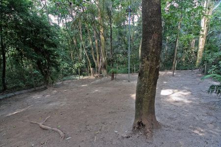 Apartamento para alugar com 45m², 2 quartos e 1 vagaÁrea comum - Área Externa