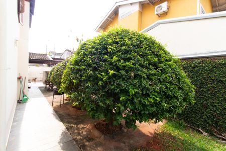 Casa de condomínio à venda com 230m², 3 quartos e 4 vagasÁrea Externa