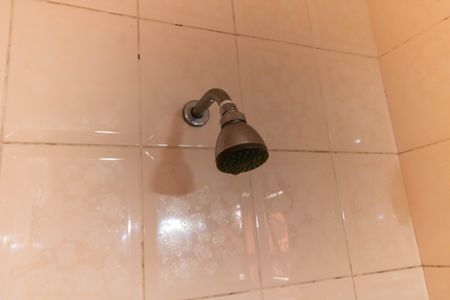 Casa para alugar com 500m², 5 quartos e 2 vagasChuveiro