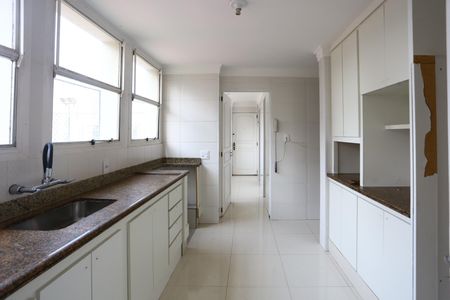 Apartamento para alugar com 183m², 4 quartos e 4 vagas Apartamento para alugar com 183m², 4 quartos e 4 vagascozinha