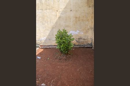 Casa à venda com 342m², 4 quartos e 8 vagas Casa à venda com 342m², 4 quartos e 8 vagasQuintal