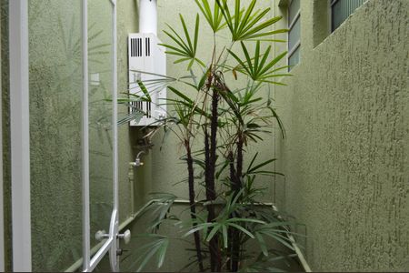 Casa à venda com 258m², 6 quartos e 5 vagasJardim de Inverno