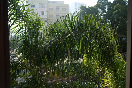 Apartamento à venda com 224m², 4 quartos e 1 vagaVista da Suíte 