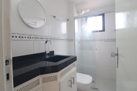 Banheiro de apartamento para alugar com 2 quartos, 60m² em Cidade Ademar, São Paulo
