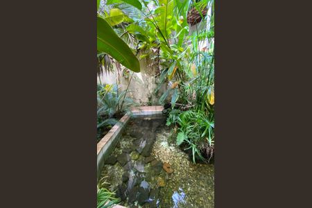 Casa para alugar com 317m², 5 quartos e 2 vagas Casa para alugar com 317m², 5 quartos e 2 vagasCasa 1 - Quintal