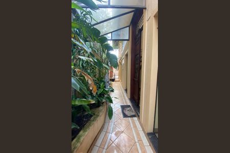 Casa para alugar com 317m², 5 quartos e 2 vagas Casa para alugar com 317m², 5 quartos e 2 vagasCasa 1 - Quintal