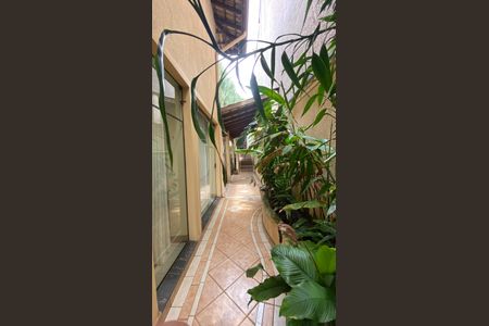 Casa para alugar com 317m², 5 quartos e 2 vagas Casa para alugar com 317m², 5 quartos e 2 vagasCasa 1 - Quintal