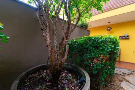 Casa para alugar com 304m², 4 quartos e 3 vagasJardim