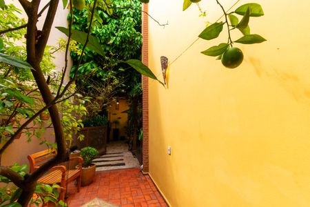 Casa para alugar com 304m², 4 quartos e 3 vagasQuintal