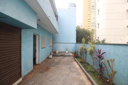 Casa para alugar com 315m², 3 quartos e 5 vagasQuintal