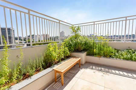 Apartamento para alugar com 55m², 2 quartos e 1 vaga Apartamento para alugar com 55m², 2 quartos e 1 vagaÁrea comum