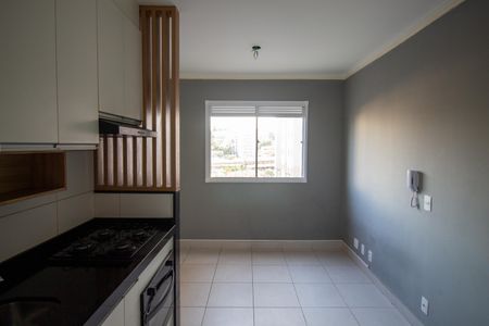 Apartamento para alugar com 33m², 2 quartos e sem vagaCozinha
