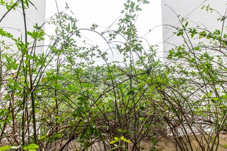 Apartamento à venda com 50m², 1 quarto e 2 vagasDetalhe