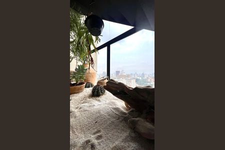 Apartamento para alugar com 66m², 1 quarto e 2 vagas Apartamento para alugar com 66m², 1 quarto e 2 vagasDetalhe da sala