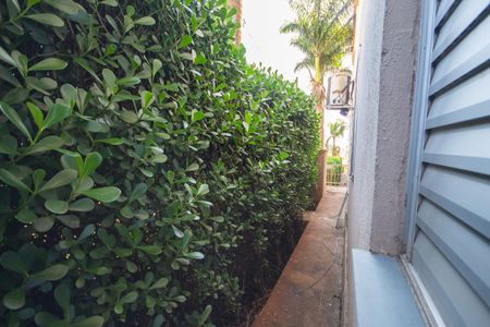 Apartamento para alugar com 48m², 2 quartos e 1 vagaVista do Quarto 1