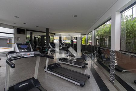 Apartamento para alugar com 354m², 4 quartos e 4 vagas Apartamento para alugar com 354m², 4 quartos e 4 vagasAcademia