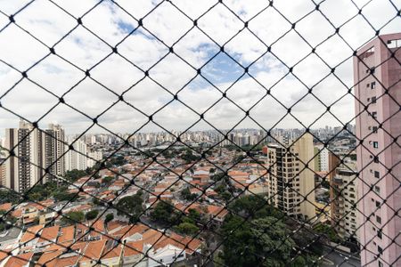 Apartamento para alugar com 354m², 4 quartos e 4 vagas Apartamento para alugar com 354m², 4 quartos e 4 vagasVista da Suíte 2