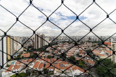 Apartamento para alugar com 354m², 4 quartos e 4 vagas Apartamento para alugar com 354m², 4 quartos e 4 vagasVista da Varanda da Sala