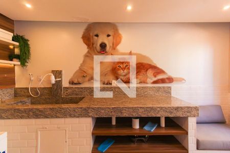 Apartamento para alugar com 34m², 2 quartos e sem vaga Apartamento para alugar com 34m², 2 quartos e sem vagaÁrea comum - Espaço pet