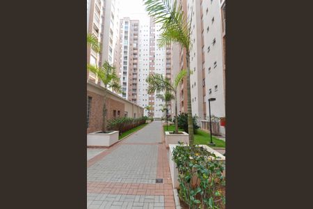 Apartamento para alugar com 77m², 3 quartos e 2 vagasÁrea externa