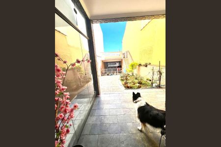 Casa à venda com 178m², 3 quartos e 6 vagas Casa à venda com 178m², 3 quartos e 6 vagasQuintal