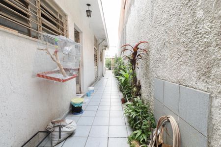 Casa à venda com 400m², 3 quartos e 4 vagasQuintal