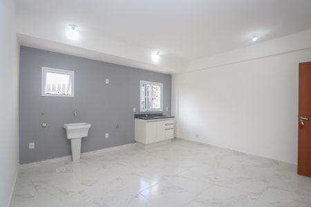 Apartamento para alugar com 48m², 1 quarto e sem vagaCozinha / Lavanderia