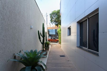 Apartamento para alugar com 78m², 3 quartos e 1 vaga Apartamento para alugar com 78m², 3 quartos e 1 vagaEntrada