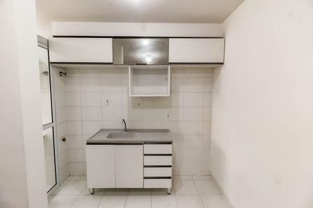 Apartamento para alugar com 52m², 2 quartos e 1 vagaCozinha - Armários