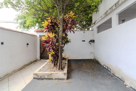 Casa para alugar com 170m², 2 quartos e sem vagaQuintal