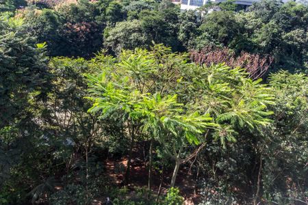 Apartamento à venda com 338m², 4 quartos e 4 vagasVista da Varanda