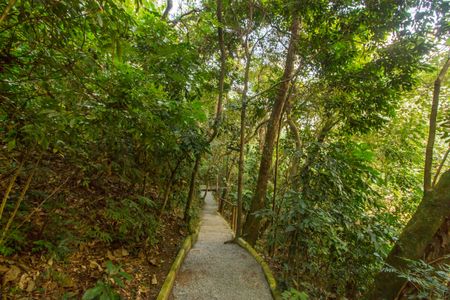 Apartamento à venda com 338m², 4 quartos e 4 vagasÁrea comum 