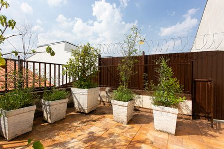 Casa para alugar com 280m², 3 quartos e 3 vagas Casa para alugar com 280m², 3 quartos e 3 vagasTerraço