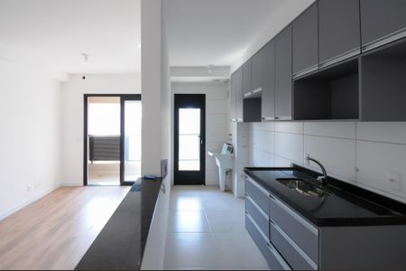 Apartamento para alugar com 52m², 2 quartos e 1 vagaCozinha - Armários