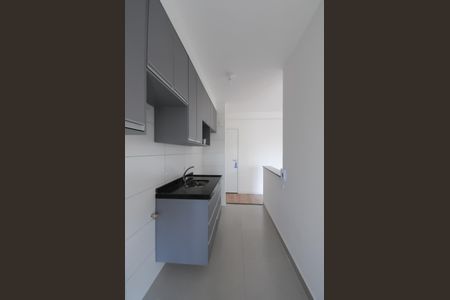 Apartamento para alugar com 52m², 2 quartos e 1 vagaCozinha - Armários