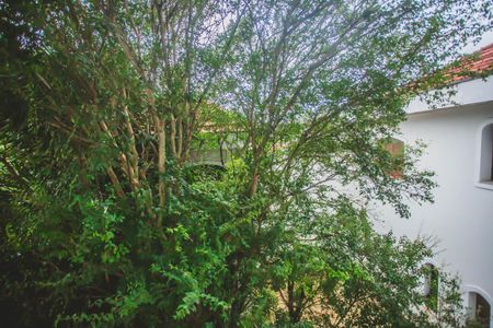 Casa à venda com 500m², 4 quartos e 5 vagasVista  Suíte 3