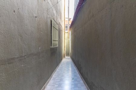 Casa à venda com 263m², 3 quartos e 2 vagasQuintal