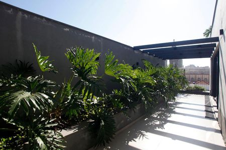 Studio para alugar com 34m², 1 quarto e 1 vagaTerraço 3 - 5o Andar