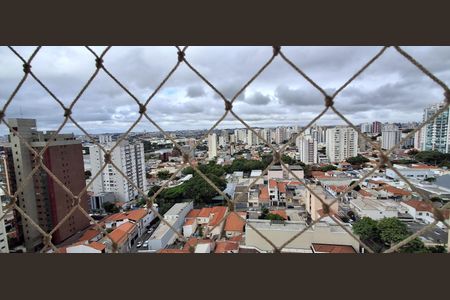 Apartamento à venda com 180m², 4 quartos e 3 vagasVista da Varanda