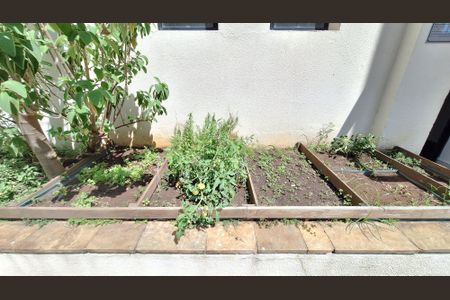 Apartamento à venda com 75m², 3 quartos e 1 vagaÁrea comum