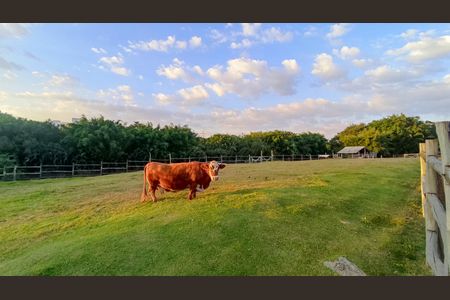 Casa de condomínio à venda com 220m², 3 quartos e 4 vagasÁrea comum