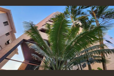 Apartamento para alugar com 95m², 3 quartos e 1 vagaFachada