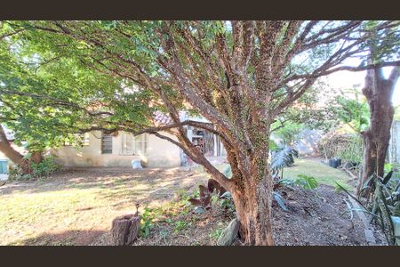 Casa à venda com 417m², 5 quartos e 2 vagasQuintal