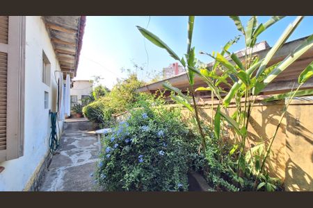 Casa à venda com 417m², 5 quartos e 2 vagasQuintal