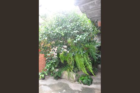 Casa à venda com 281m², 3 quartos e 2 vagasÁrea Verde